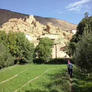 Circuit Timmit M'Goun