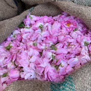 Randonnée de la Vallée des Roses